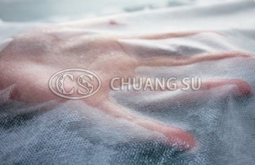 Spunbonded nonwovens - hydrophilic nonwovens